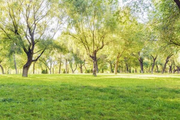 整套噴塑流水線設(shè)備廠:生意盎然的春正踏步而來(lái)！